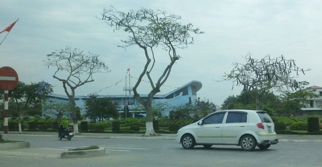 [-]Trụi[-]lủi[-]"đường[-]phượng[-]bay"[-]đẹp[-]bậc[-]nhất[-]Việt[-]Nam